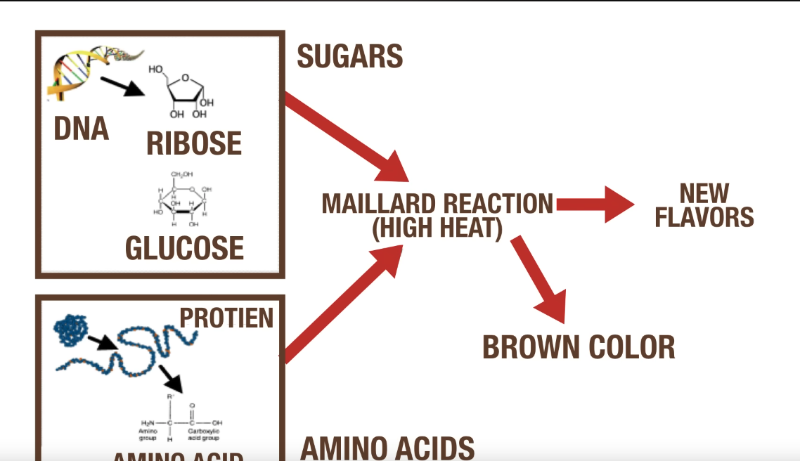 Maillard Reaction