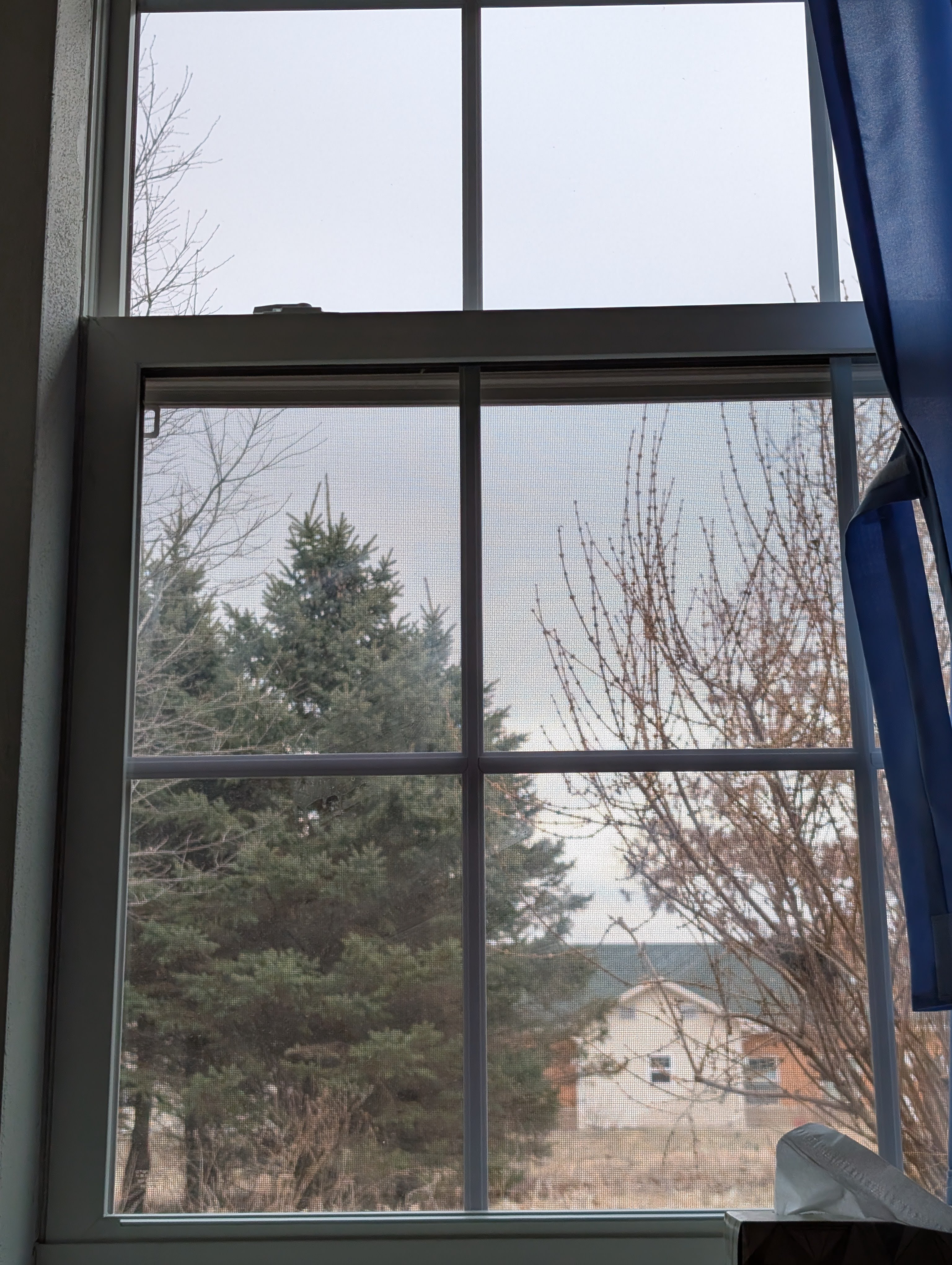 Vipassana Retreat II