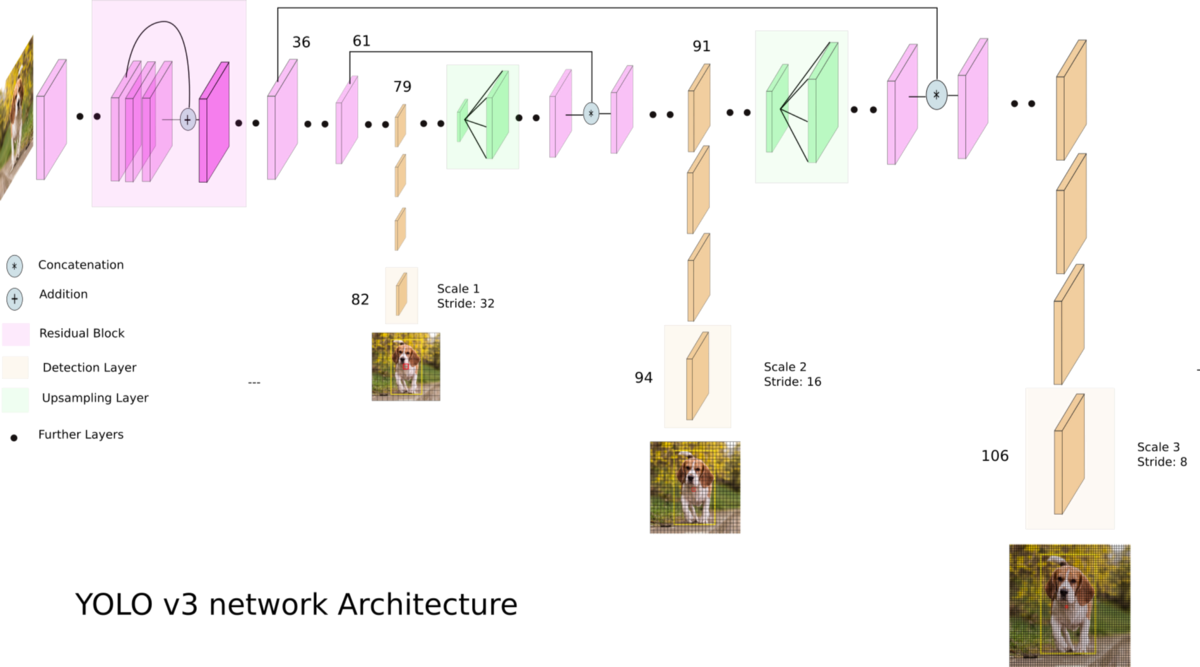 yolo-architecture